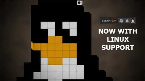 btm_linux_steam-600